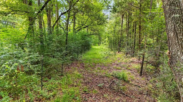 TBD County Road 3610, Woodville, TX 75979