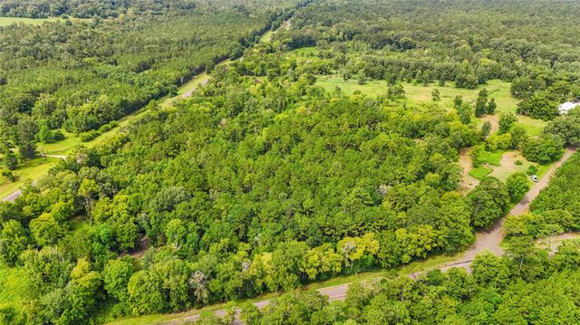 TBD County Road 3610, Woodville, TX 75979