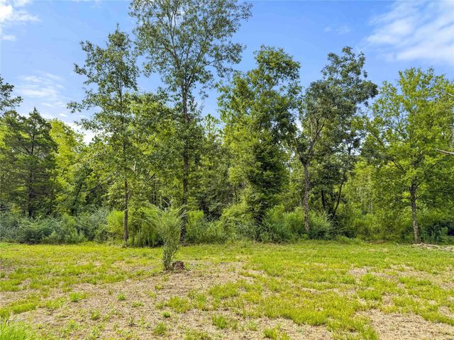 TBD County Road 3610, Woodville, TX 75979