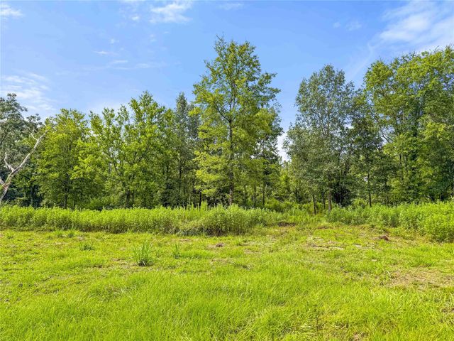 TBD County Road 3610, Woodville, TX 75979