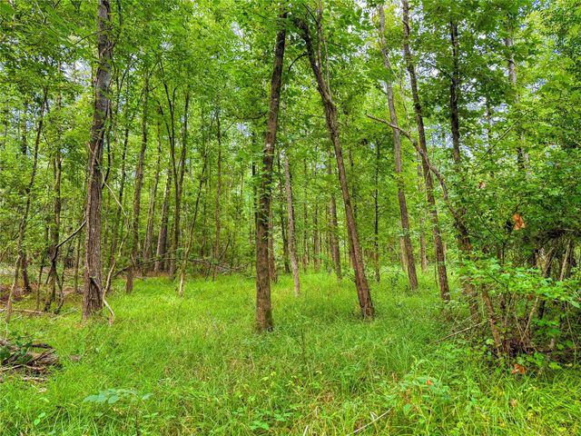 TBD County Road 3610, Woodville, TX 75979