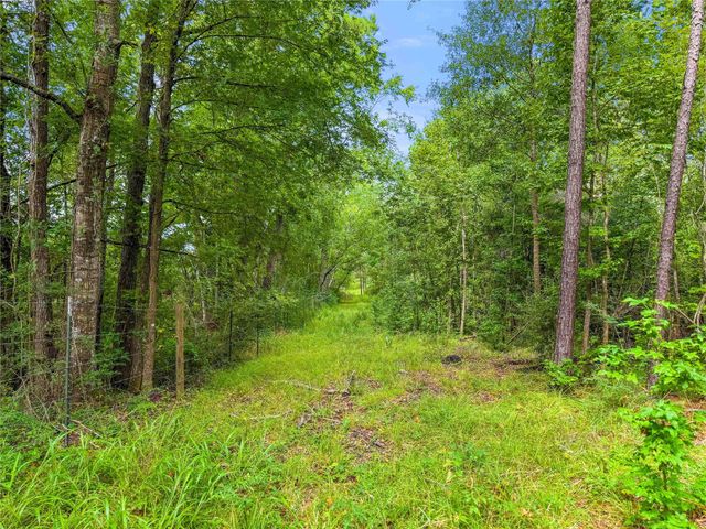 TBD County Road 3610, Woodville, TX 75979