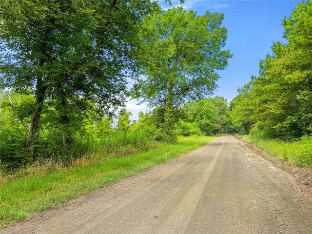 TBD County Road 3610, Woodville, TX 75979