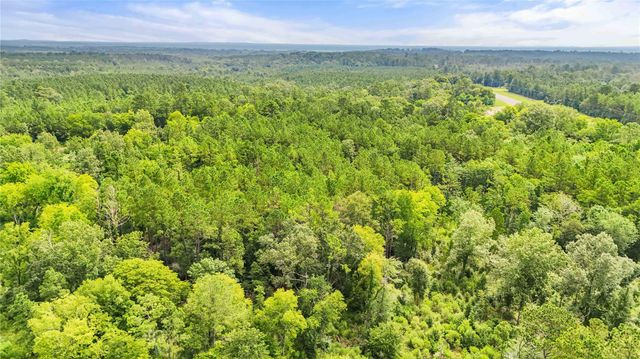 TBD County Road 3610, Woodville, TX 75979