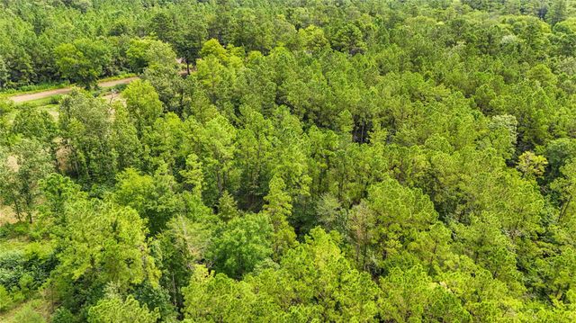 TBD County Road 3610, Woodville, TX 75979