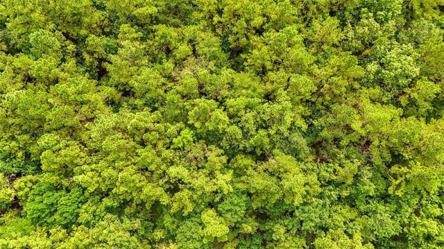 TBD County Road 3610, Woodville, TX 75979