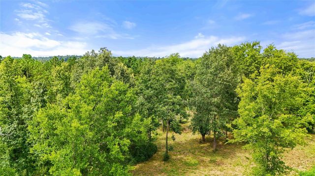 TBD County Road 3610, Woodville, TX 75979