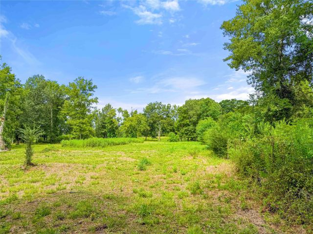 TBD County Road 3610, Woodville, TX 75979