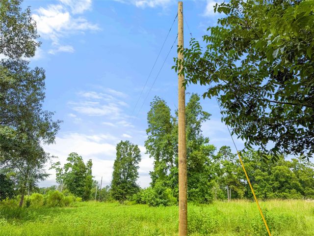 TBD County Road 3610, Woodville, TX 75979