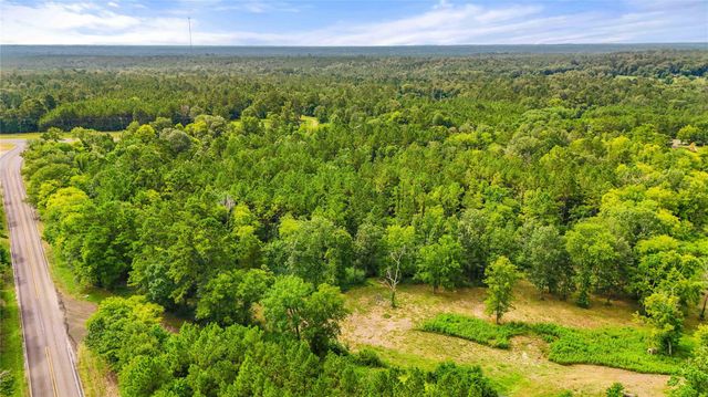 TBD County Road 3610, Woodville, TX 75979