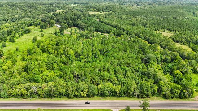 TBD County Road 3610, Woodville, TX 75979