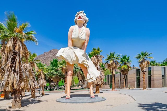 800 E Cottonwood Road, Palm Springs, CA 92262