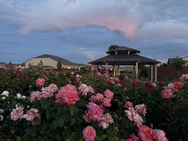 7255 Sagunto Pl, El Dorado Hills, CA 95762