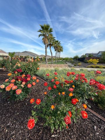 7255 Sagunto Pl, El Dorado Hills, CA 95762