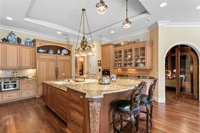 16911 COMUNIDAD DE AVILA, Lutz, FL 33548