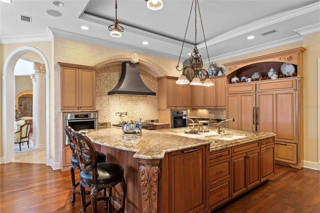 16911 COMUNIDAD DE AVILA, Lutz, FL 33548