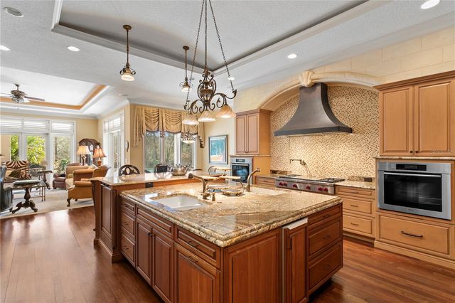 16911 COMUNIDAD DE AVILA, Lutz, FL 33548