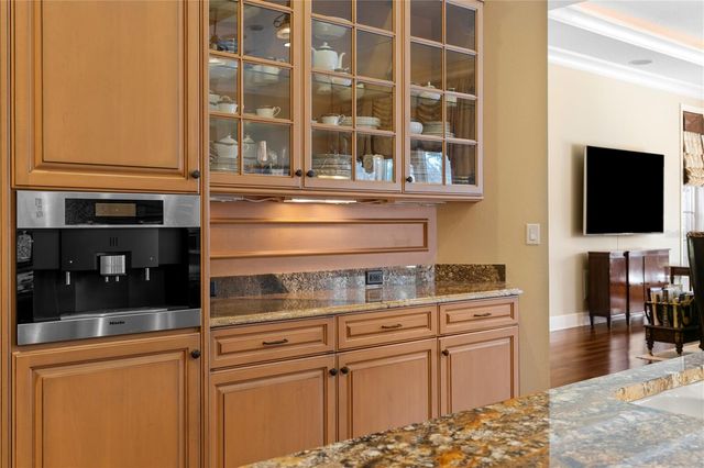 16911 COMUNIDAD DE AVILA, Lutz, FL 33548