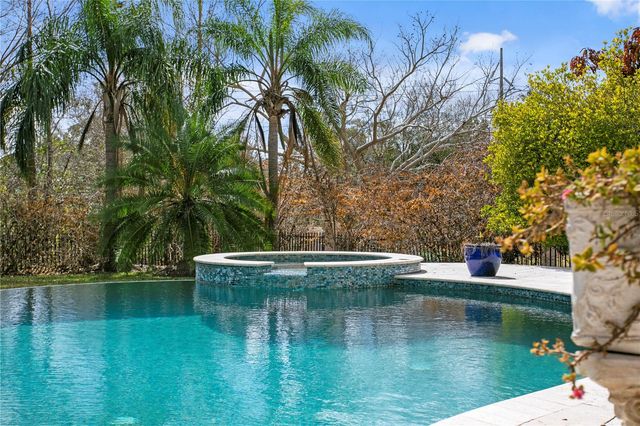 16911 COMUNIDAD DE AVILA, Lutz, FL 33548