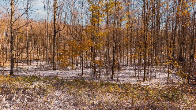 2427 Montgomery Road, Bellaire, MI 49615