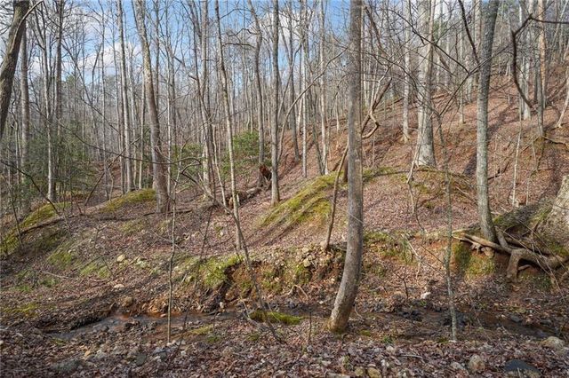 49 Old Stamp Mill Road, Dahlonega, GA 30533
