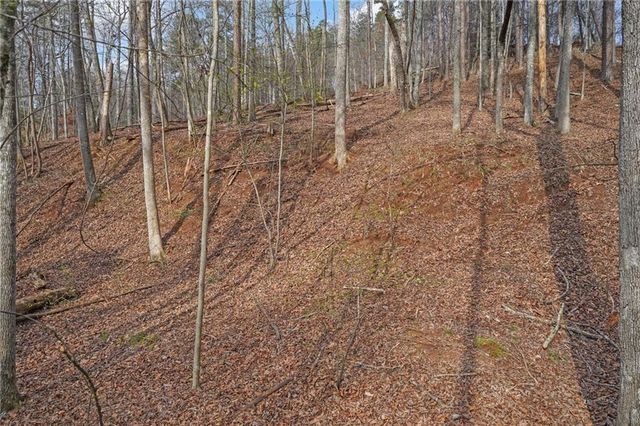 49 Old Stamp Mill Road, Dahlonega, GA 30533