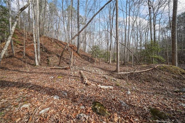 49 Old Stamp Mill Road, Dahlonega, GA 30533