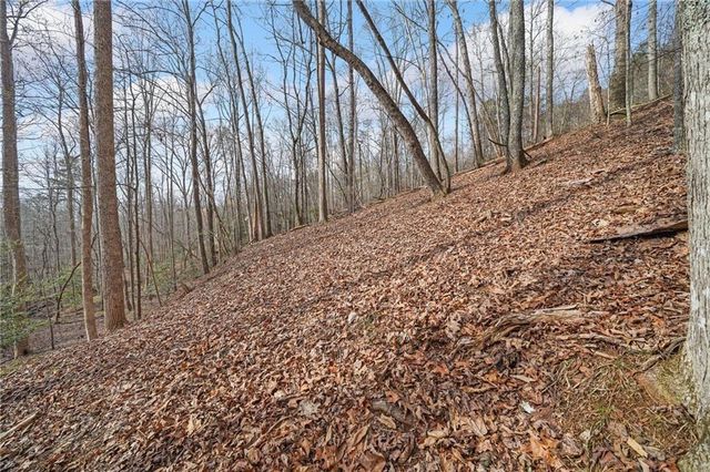 49 Old Stamp Mill Road, Dahlonega, GA 30533