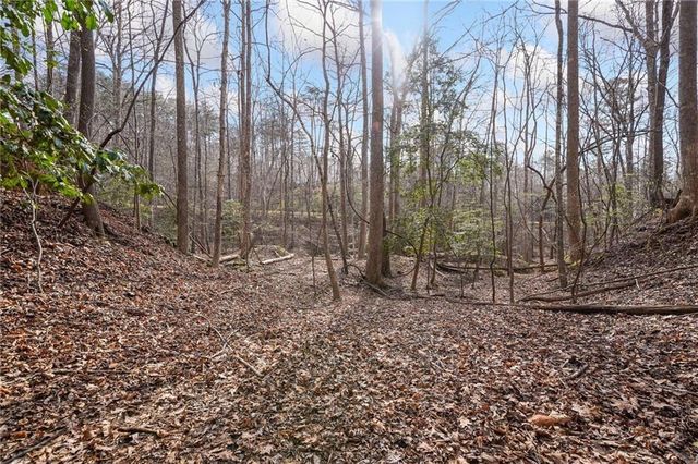 49 Old Stamp Mill Road, Dahlonega, GA 30533