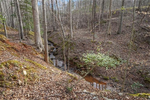49 Old Stamp Mill Road, Dahlonega, GA 30533