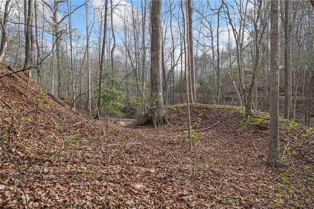 49 Old Stamp Mill Road, Dahlonega, GA 30533