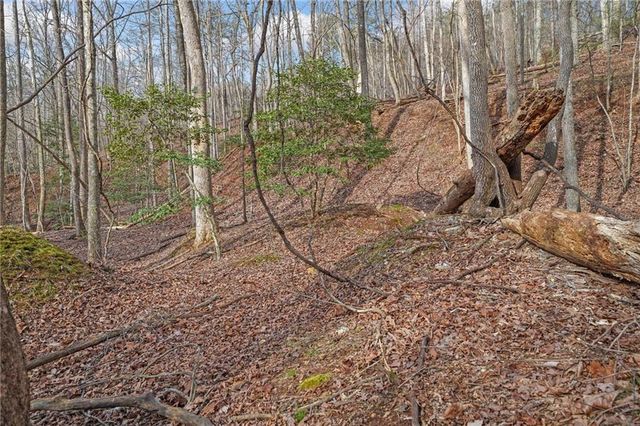 49 Old Stamp Mill Road, Dahlonega, GA 30533