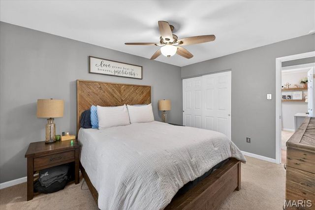 1217 Dorne Drive, Ballwin, MO 63021