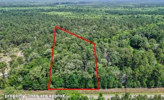 La Hwy 42, Livingston, LA 70754