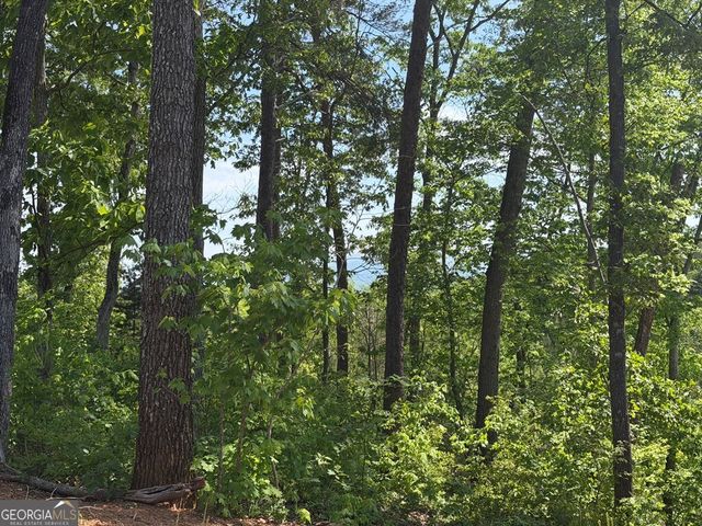 LOT 31 Summit View Lane, Ellijay, GA 30540