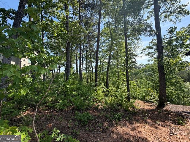 LOT 31 Summit View Lane, Ellijay, GA 30540