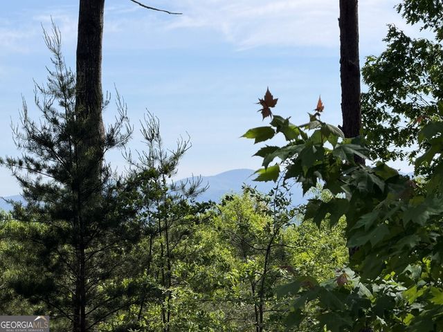 LOT 31 Summit View Lane, Ellijay, GA 30540