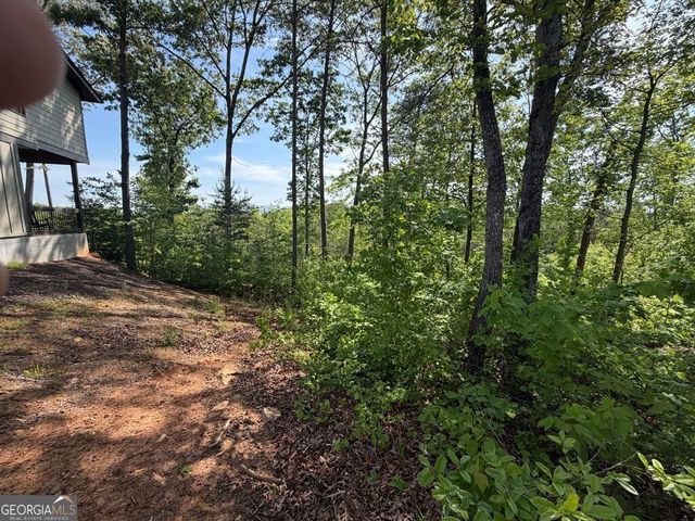LOT 31 Summit View Lane, Ellijay, GA 30540