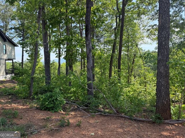 LOT 31 Summit View Lane, Ellijay, GA 30540