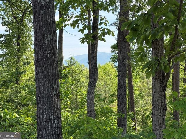 LOT 31 Summit View Lane, Ellijay, GA 30540