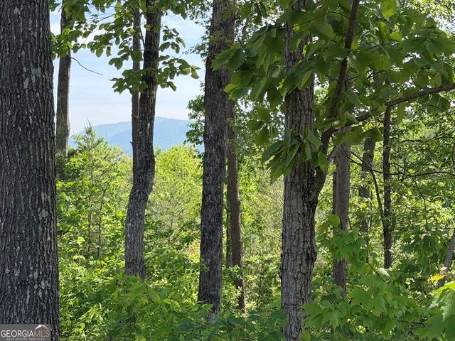 LOT 31 Summit View Lane, Ellijay, GA 30540