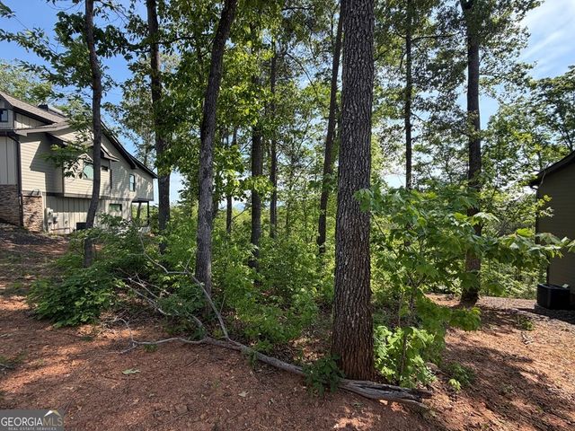 LOT 31 Summit View Lane, Ellijay, GA 30540