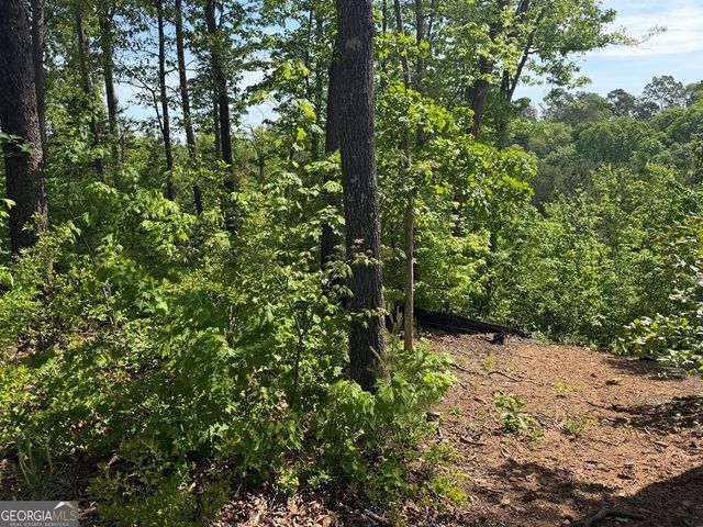 LOT 31 Summit View Lane, Ellijay, GA 30540