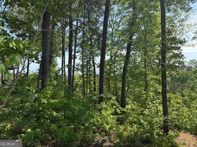 LOT 31 Summit View Lane, Ellijay, GA 30540