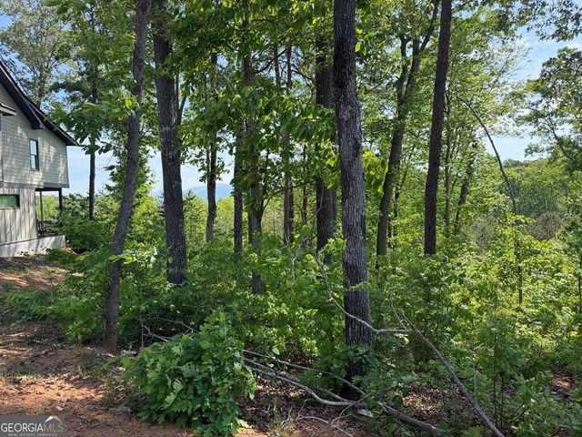 LOT 31 Summit View Lane, Ellijay, GA 30540