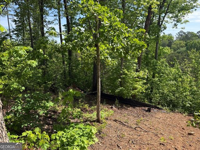 LOT 31 Summit View Lane, Ellijay, GA 30540