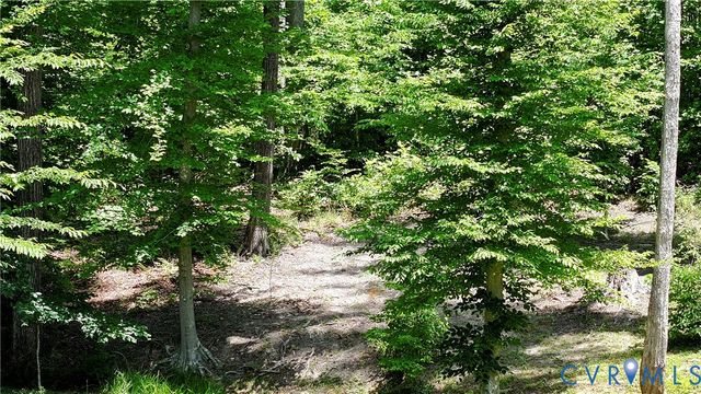 4528 E Old Mountain Rd, Louisa, VA 23093