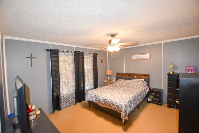 523 May Hollow Road, Tollesboro, KY 41189