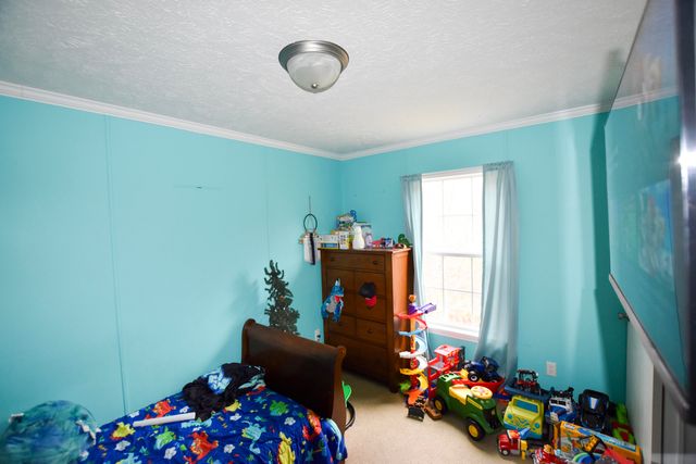 523 May Hollow Road, Tollesboro, KY 41189