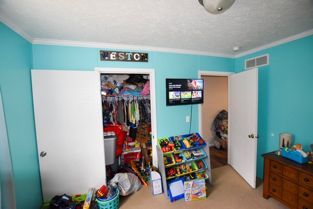 523 May Hollow Road, Tollesboro, KY 41189